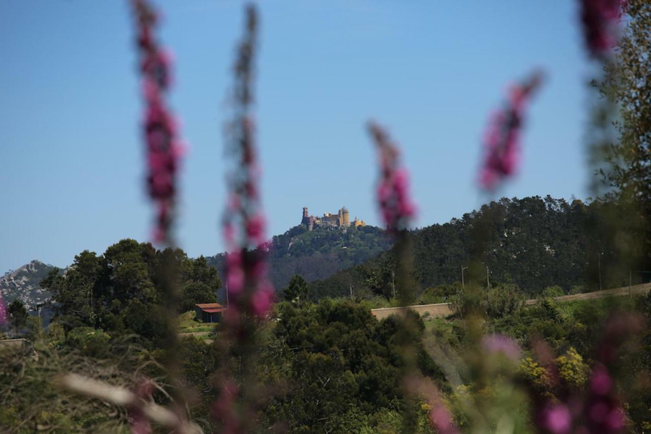 A House In The Woods Villa Sintra Buitenkant foto