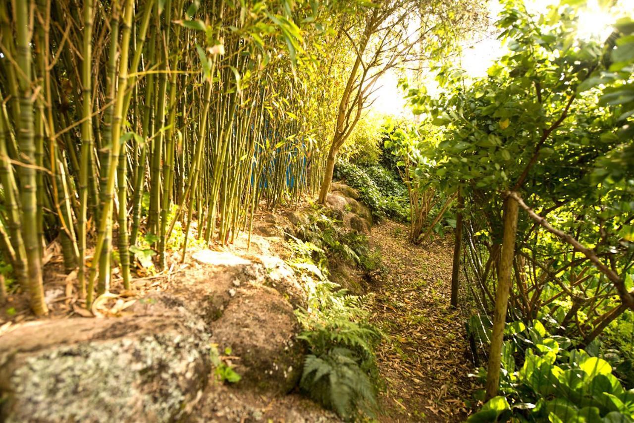 A House In The Woods Villa Sintra Buitenkant foto